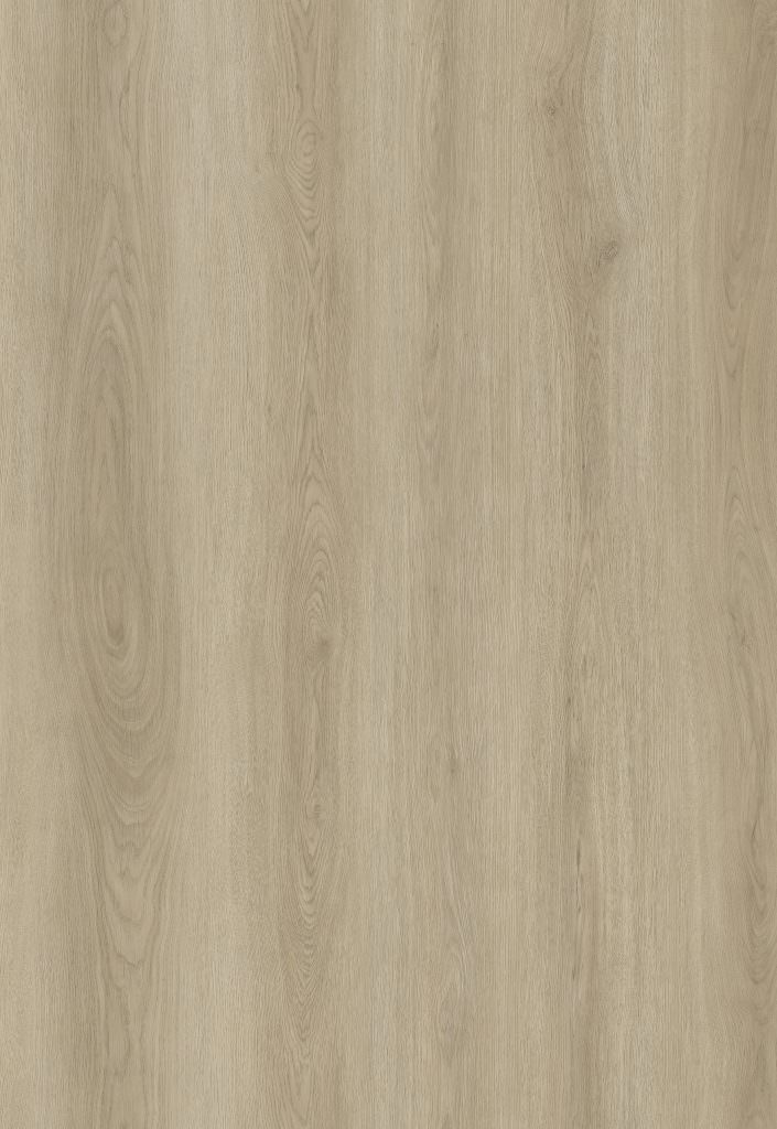 Vinyl floor covering Materia SPC Wood Betulla natural